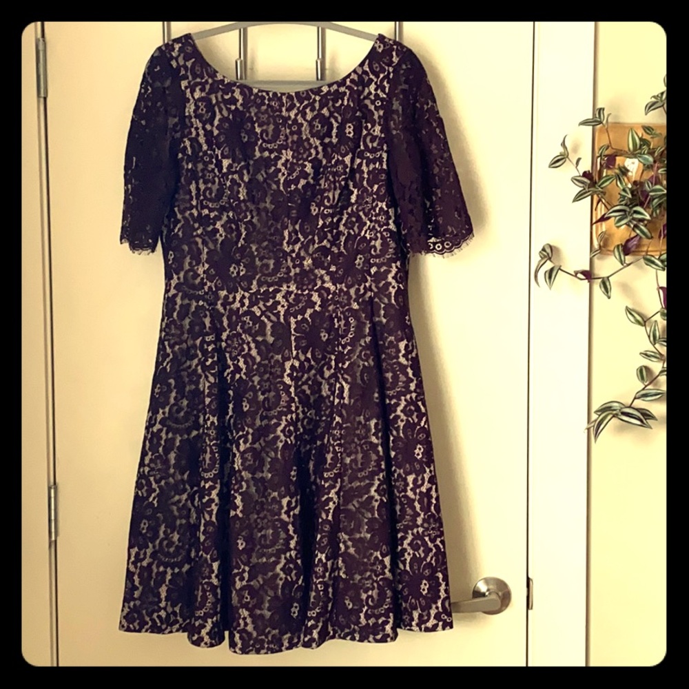 Eliza J Size 14 Lace Dress